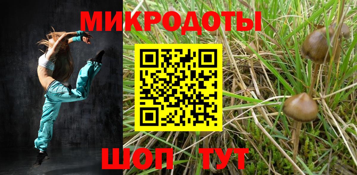 Сочи  Псилоцибиновые грибы мицелий  Вход с VPN  цены наркотик  Псилоцибиновые грибы Psilocybe 